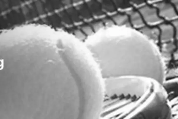 Foto van Algemene Tennisvereniging Wolvega