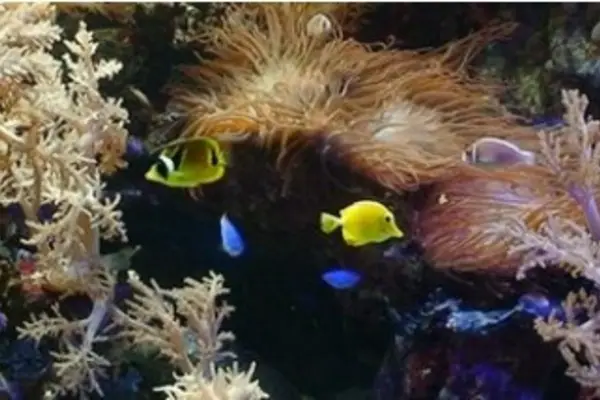 Foto van Aqua Zoo Leerdam