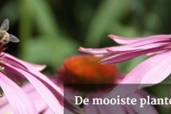 Foto van Botanische Tuinen Utrecht