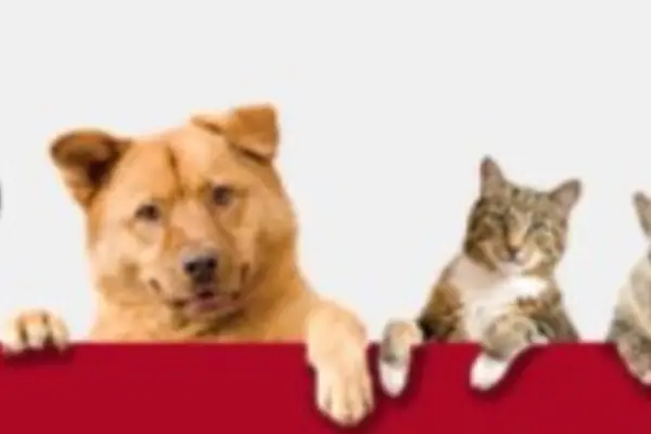 Foto van Dierenkliniek Hoogveld