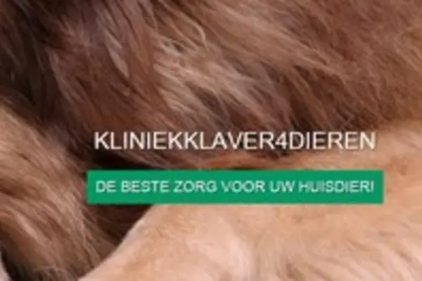 Foto van Dierenkliniek Klaver4Dieren
