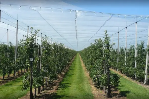 Foto van Fruit Support Europe