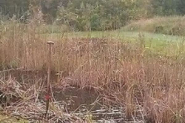 Foto van JP Gardens