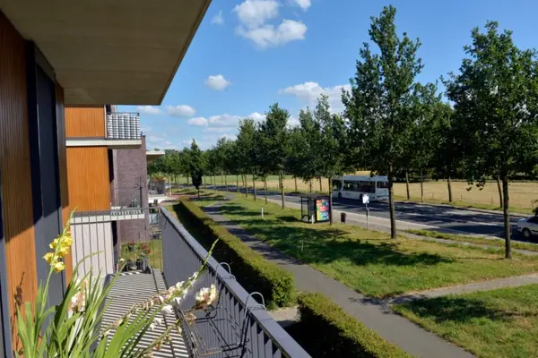 Foto van JP van den Bent | Locatie Noorderkoeslag