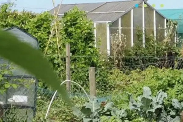 Foto van KDV De Groene Vlinder