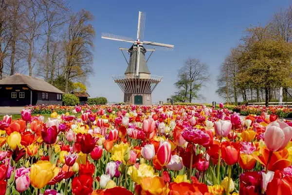 Foto van Keukenhof