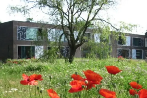 Foto van Lucebertschool