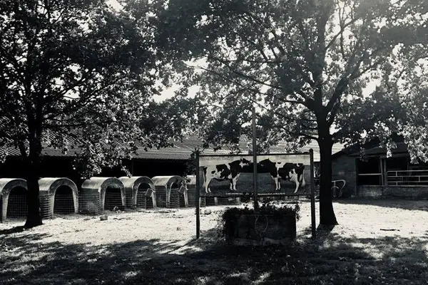Foto van Melkveebedrijf Blenke
