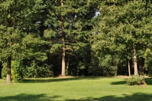 Foto van Mini-camping KooningsVeld
