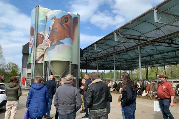 Foto van Vakantieboerderij Kraanswijk