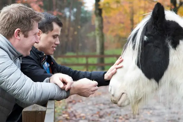 Foto van Vereniging Gehandicaptenzorg Nederland
