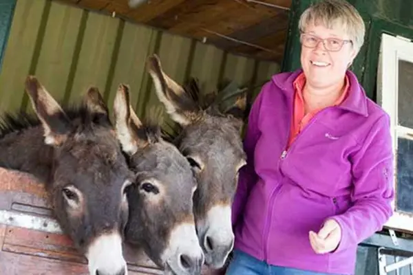 Foto van Zorgboerderij de Rebus