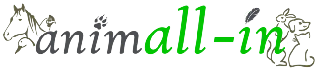 Logo van Animall-In
