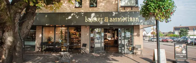 Logo van Bakker Ammerlaan