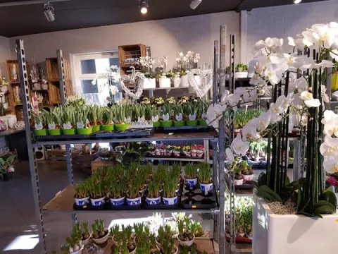 Logo van Bloemen Leliveld