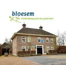 Logo van Bloesem Kinderopvang