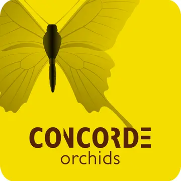 Logo van Concorde Plants