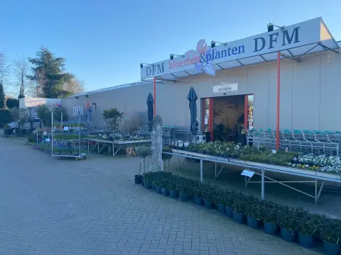 Logo van DFM Bloemen & Planten
