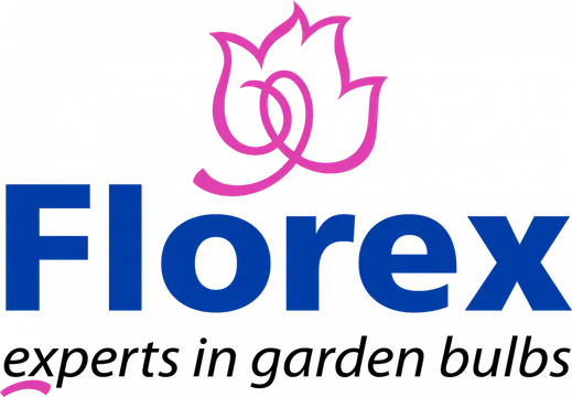 Logo van Florex