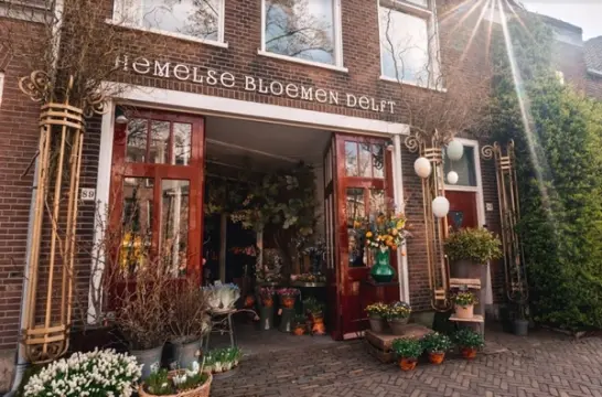 Logo van Hemelse Bloemen Delft