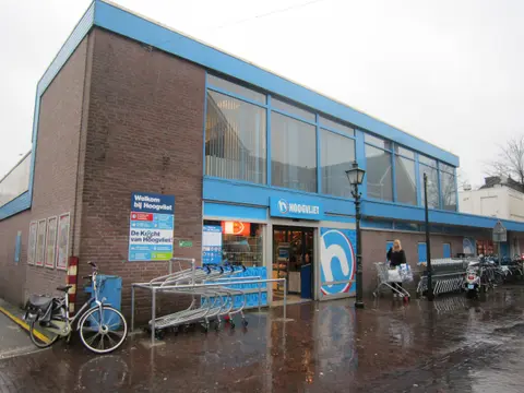 Logo van Hoogvliet