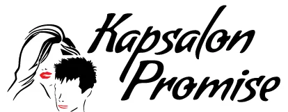 Logo van Kapsalon Promise