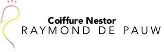 Logo van Nestor Coiffure Raymond de Pauw
