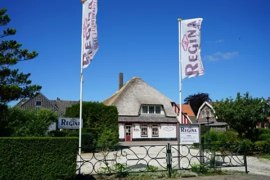 Logo van Regina Lampekappen