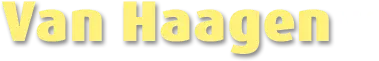 Logo van Van Haagen Dynamische Beveiligings Systemen